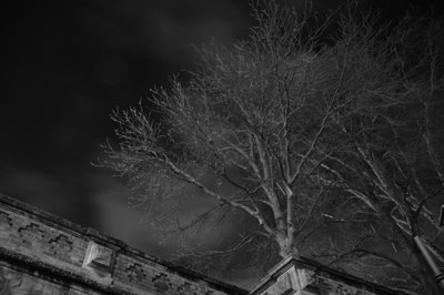 Sous un ciel étoilé_4334862767_l.jpg